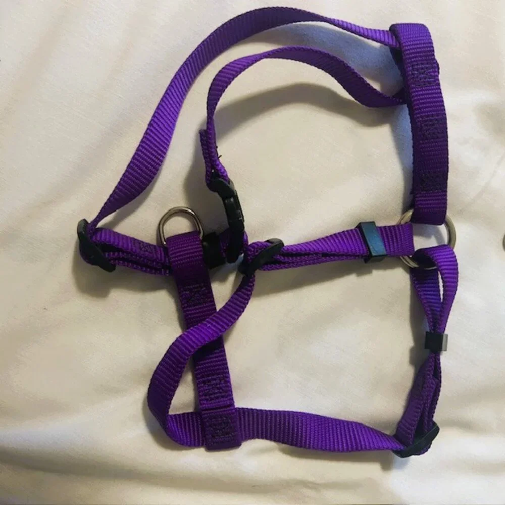 Dog Harness and Leash Unbranded Purple Medium Adjustable
